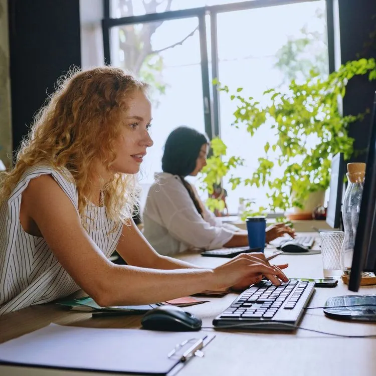 imageCoordonner, organiser et piloter les opérations d'une conciergerie locative